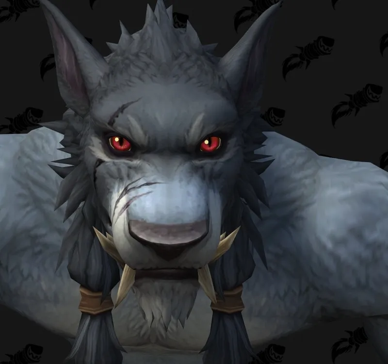 Image 25