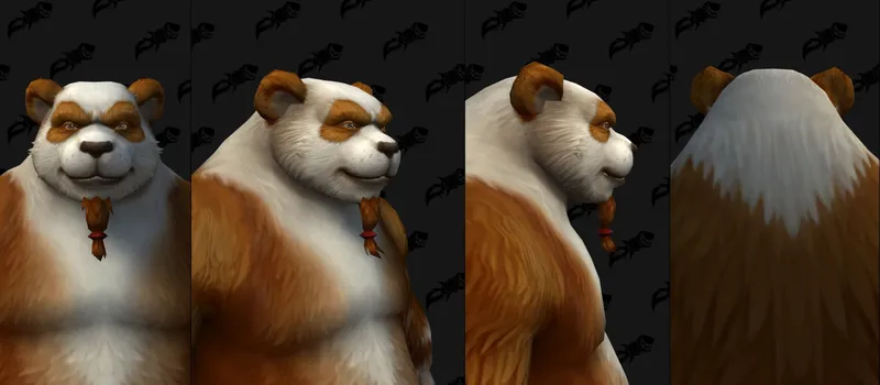 Image 17