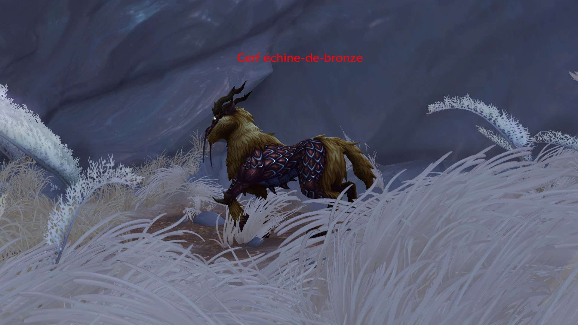 Shadowlands : L'échine-de-bronze est domptable