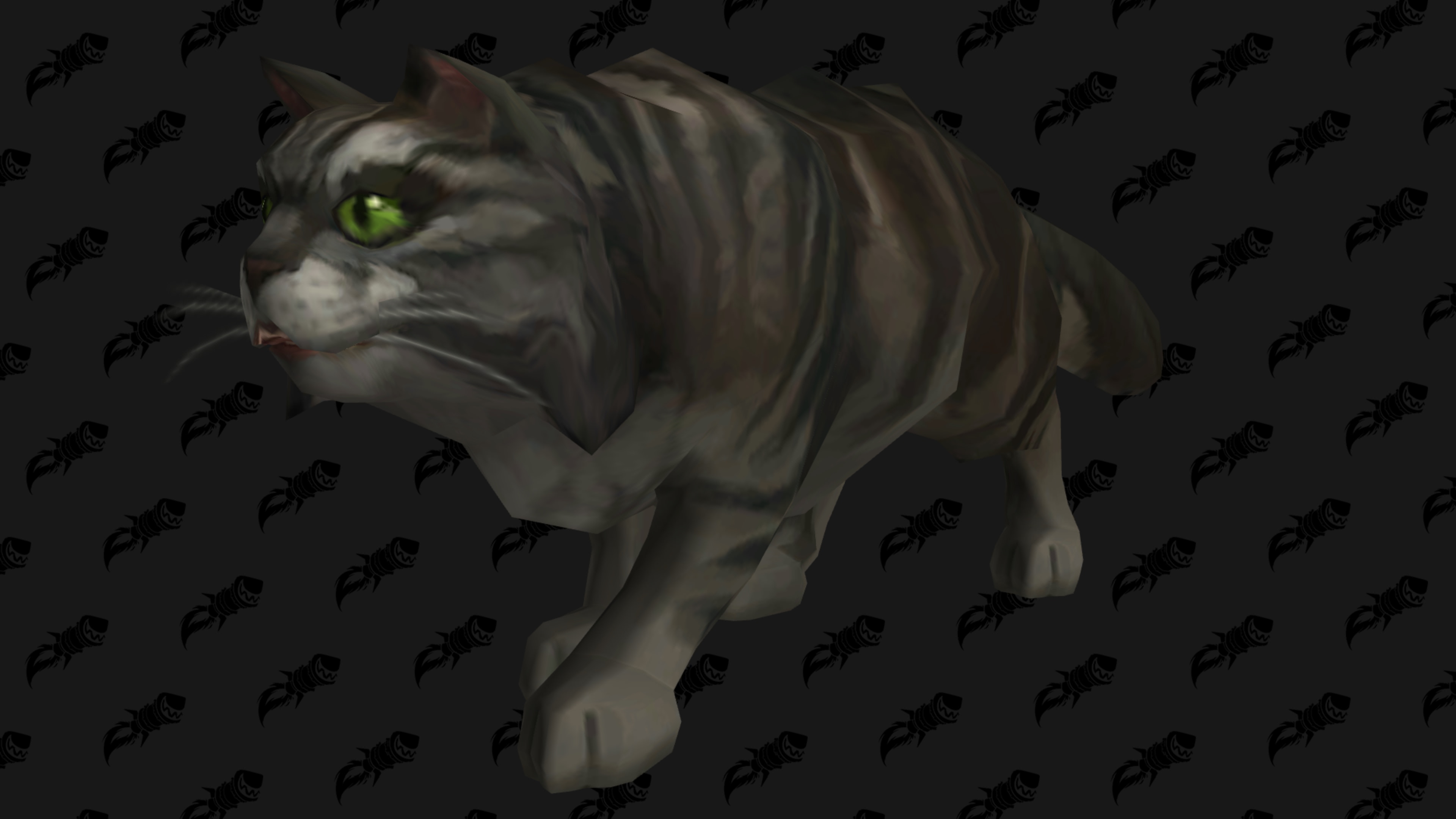 Le mystère entourant le secret de la mascotte Félicia presque irrésolu 11 mois plus tard