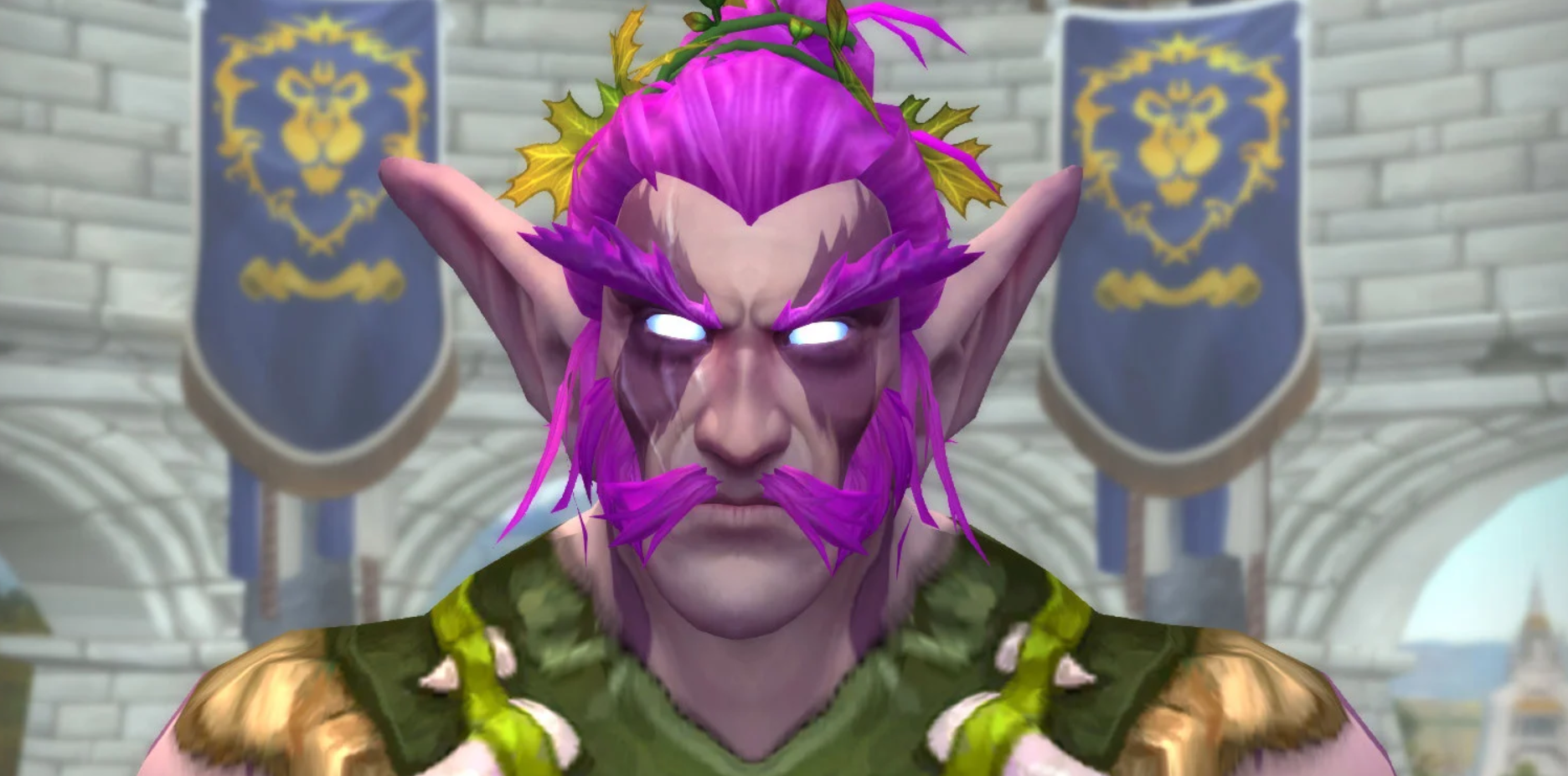 Options de personnalisation : Elfe de la Nuit